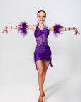 Stretch Net Ostrich Feather Latin Dress Latin/Rhythm