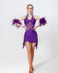 Stretch Net Ostrich Feather Latin Dress Latin/Rhythm
