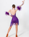 Stretch Net Ostrich Feather Latin Dress Latin/Rhythm