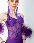 Stretch Net Ostrich Feather Latin Dress Latin/Rhythm