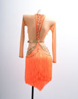 Long-sleeves Crystalline Fringe Latin Dress Latin/Rhythm 