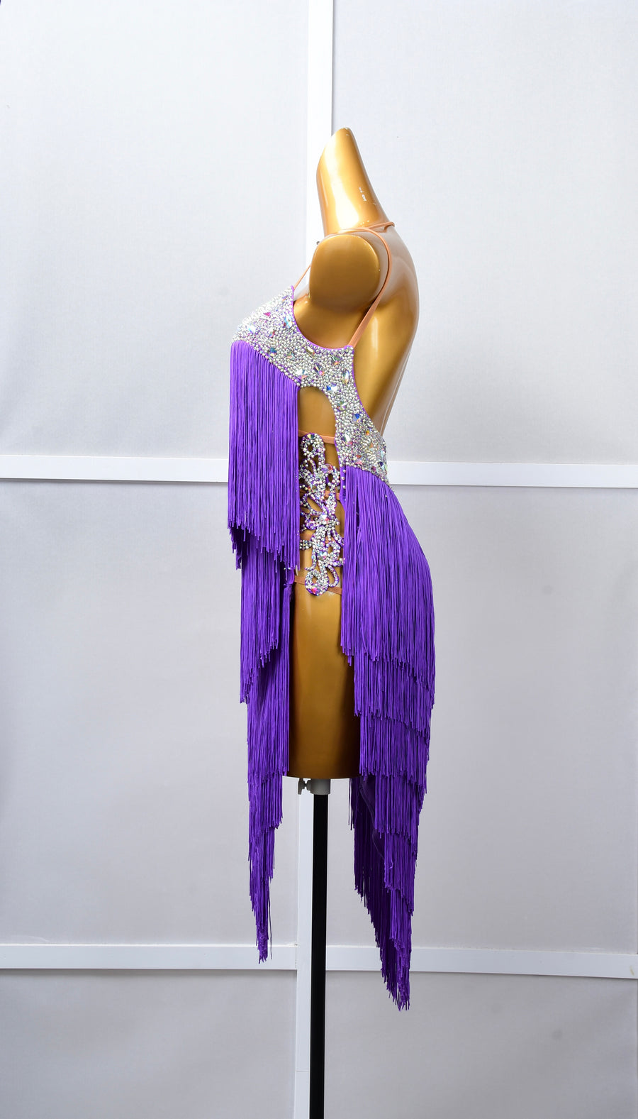 Crystalline Fringe  Latin Dress Latin/Rhythm # L5062