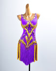 Golden Line  Crystallized Fringe Latin Dress Latin/Rhythm 