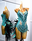 Crystalline Leopard Print Latin Feather Dress Latin/Rhythm 