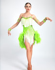 Ostrich Feather Crystalline Fringe Latin Dress Latin/Rhythm 