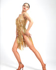 Laser Paillette Crystallized Latin Dress Latin/Rhythm 