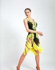 Crystalline Fluorescent Stone Fringe Latin Dress Latin/Rhythm 