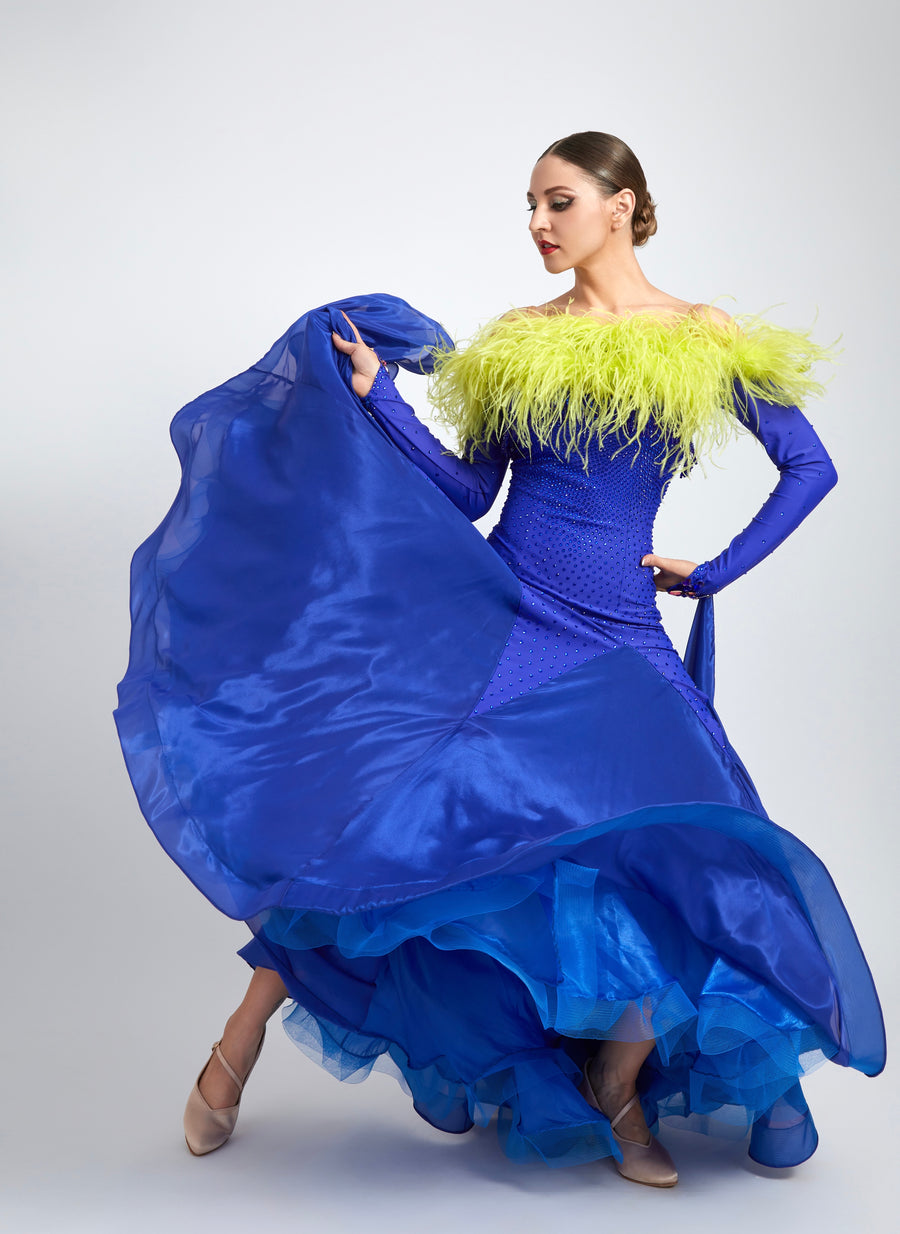 Ostrich Feather Top crystallized Ballroom Dress  Standard/Smooth # M4715