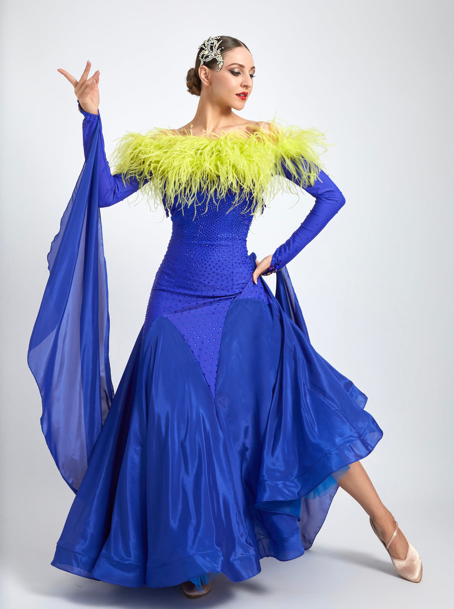 Ostrich Feather Top crystallized Ballroom Dress  Standard/Smooth # M4715