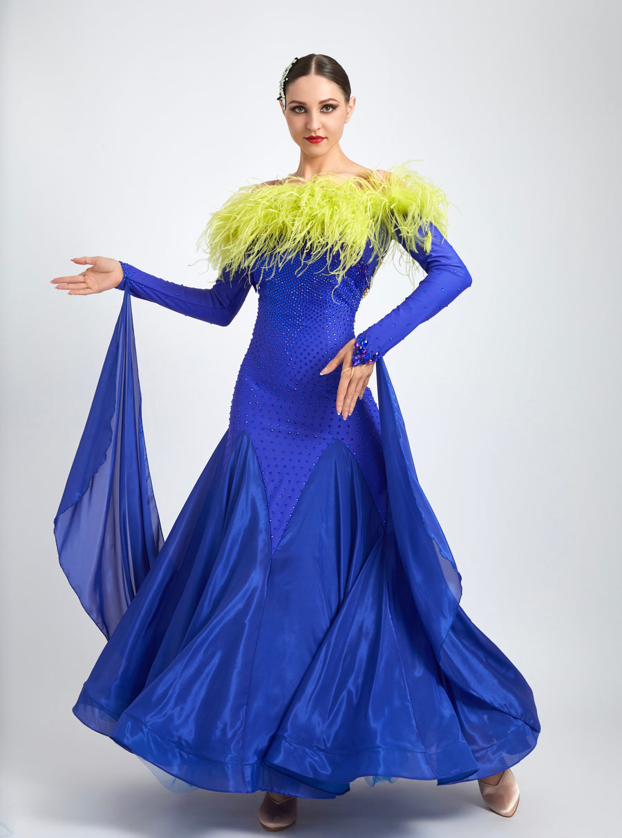 Ostrich Feather Top crystallized Ballroom Dress  Standard/Smooth # M4715