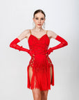 Crystalline Fringe Latin Dress Latin/Rhythm 