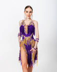 Crystallized Net Beaded Fringe Latin Dress Latin/Rhythm 