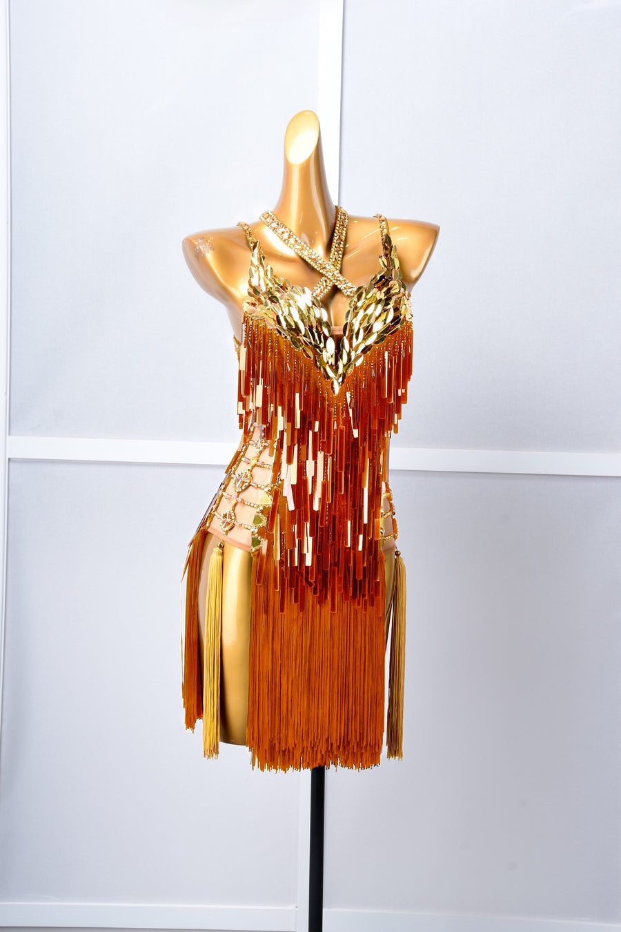 Paillette and Fringe Crystallized Latin Dress Latin/Rhythm #L6002