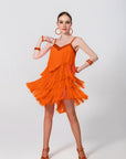 Fringe Latin Dress Latin/Rhythm 