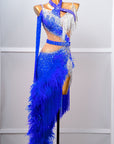 One - shoulder Ostrich Feather Crystalline Latin Dress Latin/Rhythm 