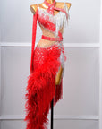 One - shoulder Ostrich Feather Crystalline Latin Dress Latin/Rhythm 