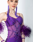 Stretch Net Ostrich Feather Latin Dress Latin/Rhythm 